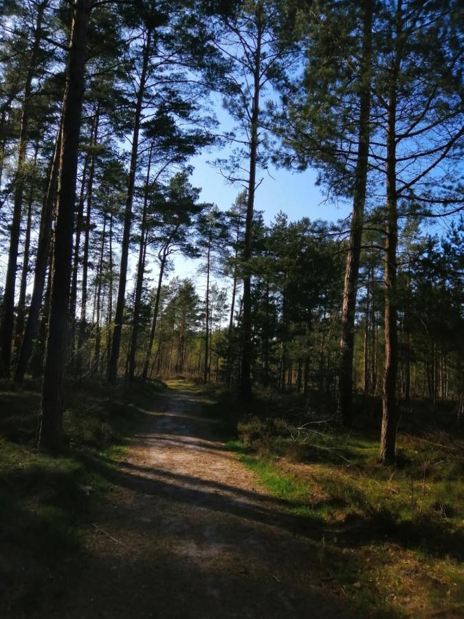 Na Leśnej